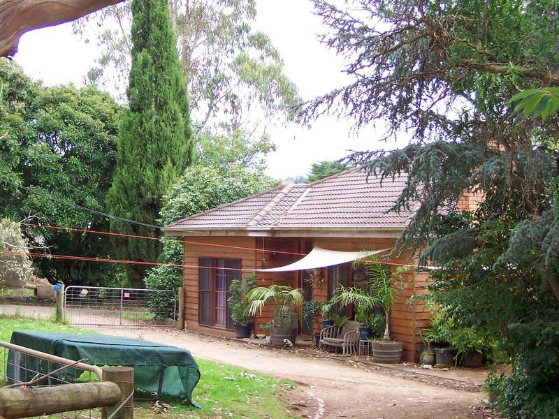 244 Red Hill Road, Red Hill VIC 3937