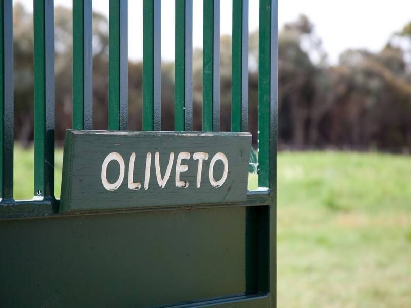 265 Balnarring Road, Tuerong VIC 3915