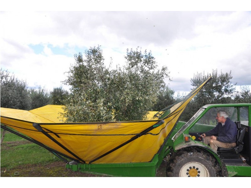 265 Balnarring Road, Tuerong VIC 3915