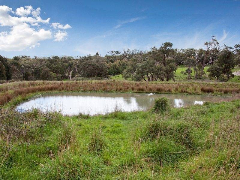 12 Foxeys Road, Merricks North VIC 3926