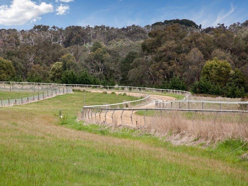 12 Foxeys Road, Merricks North VIC 3926