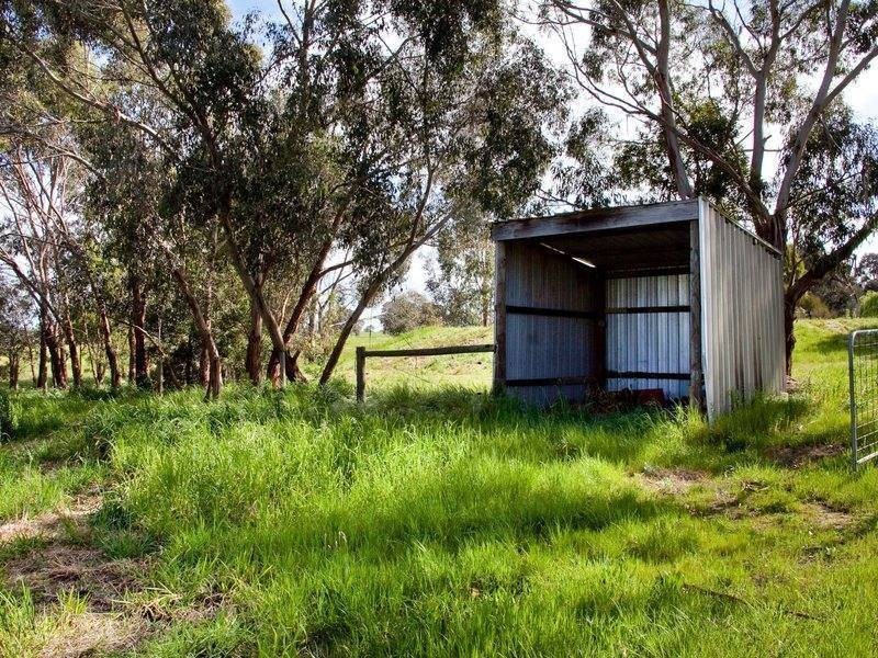 52 Boes Road, Tyabb VIC 3913