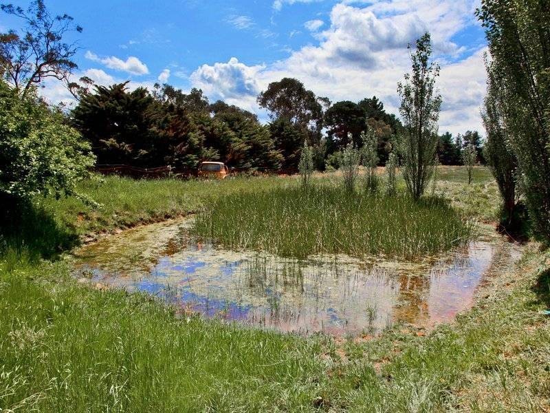 224 Mornington-Tyabb Road, Moorooduc VIC 3933