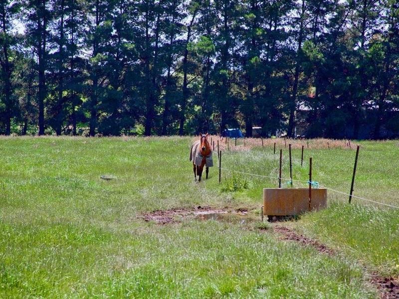 224 Mornington-Tyabb Road, Moorooduc VIC 3933