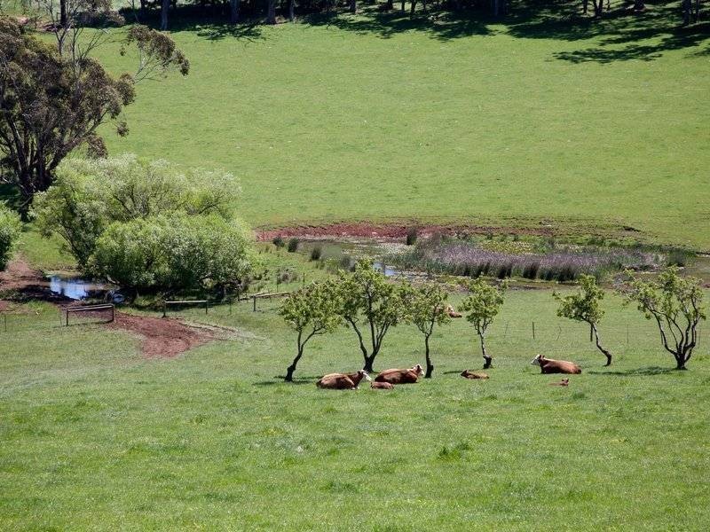 40 Prossors Lane, Red Hill VIC 3937