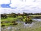59 O’Neills Road, Tyabb VIC 3913