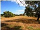 59 O’Neills Road, Tyabb VIC 3913