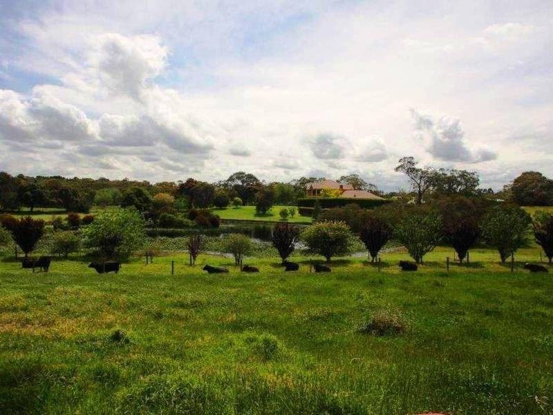 59 O’Neills Road, Tyabb VIC 3913