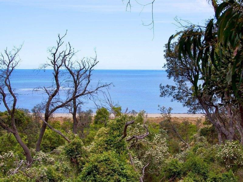 52 Marine Parade, Shoreham VIC 3916