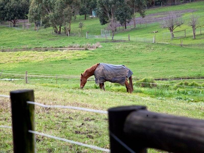 62 Graydens Road, Tyabb VIC 3913