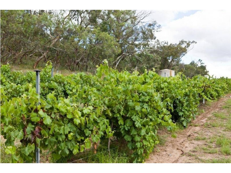 148 Mount Bruno (Jones Rd) Road, Mount Bruno VIC 3675