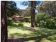 15 Pine Avenue, Red Hill South VIC 3937