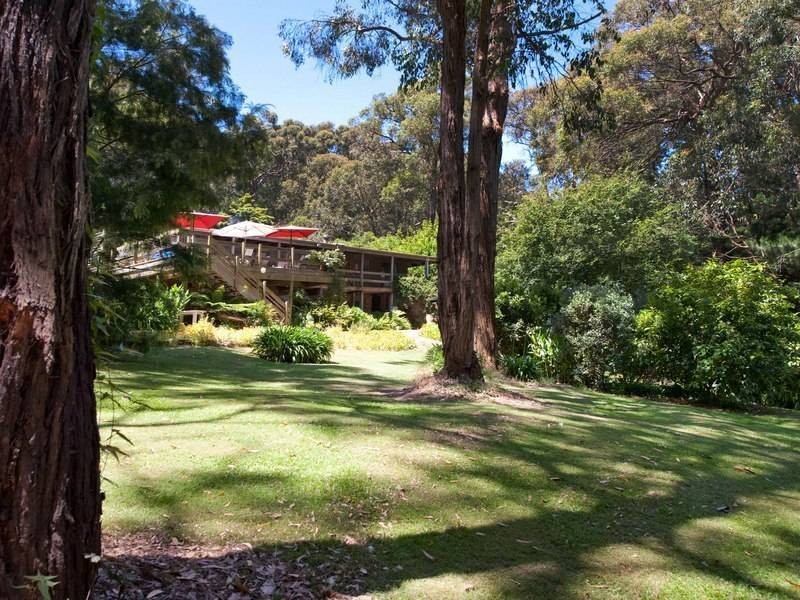 15 Pine Avenue, Red Hill South VIC 3937