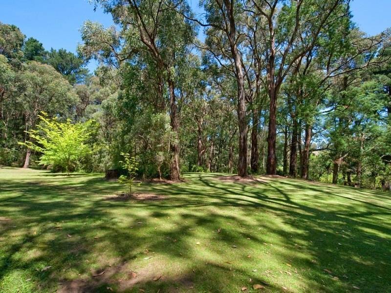 15 Pine Avenue, Red Hill South VIC 3937