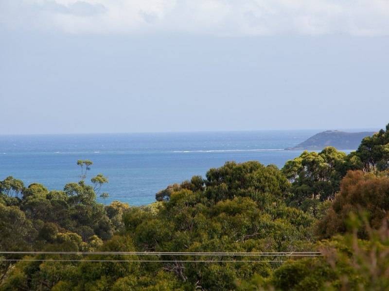 48 Myers Drive, Shoreham VIC 3916