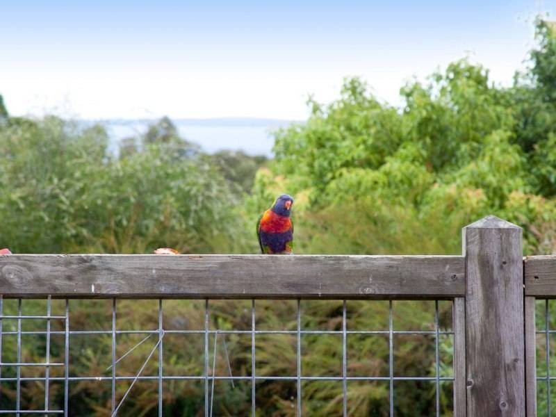 48 Myers Drive, Shoreham VIC 3916