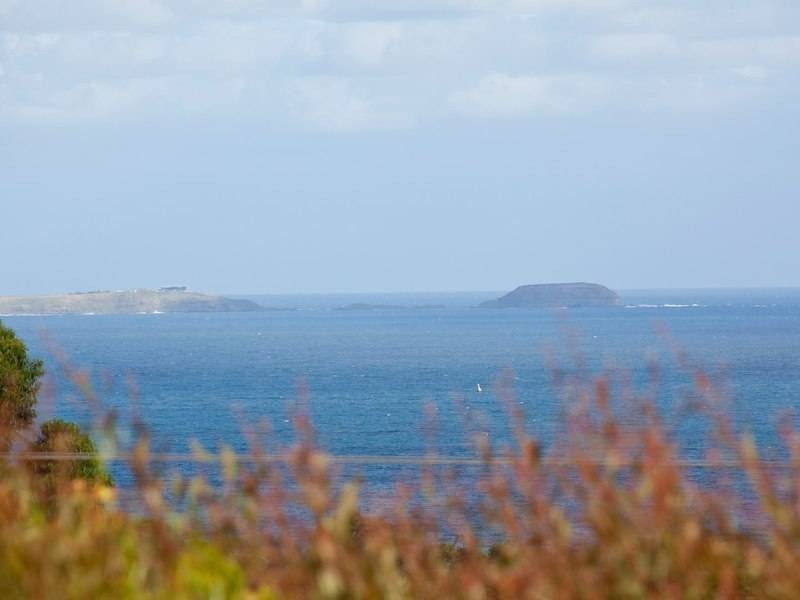 48 Myers Drive, Shoreham VIC 3916