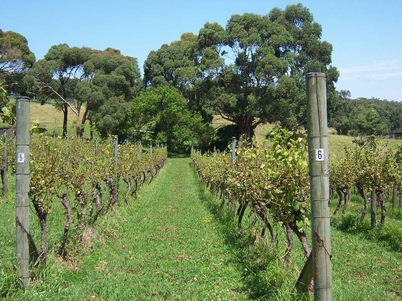 72 Shoreham Road, Red Hill VIC 3937