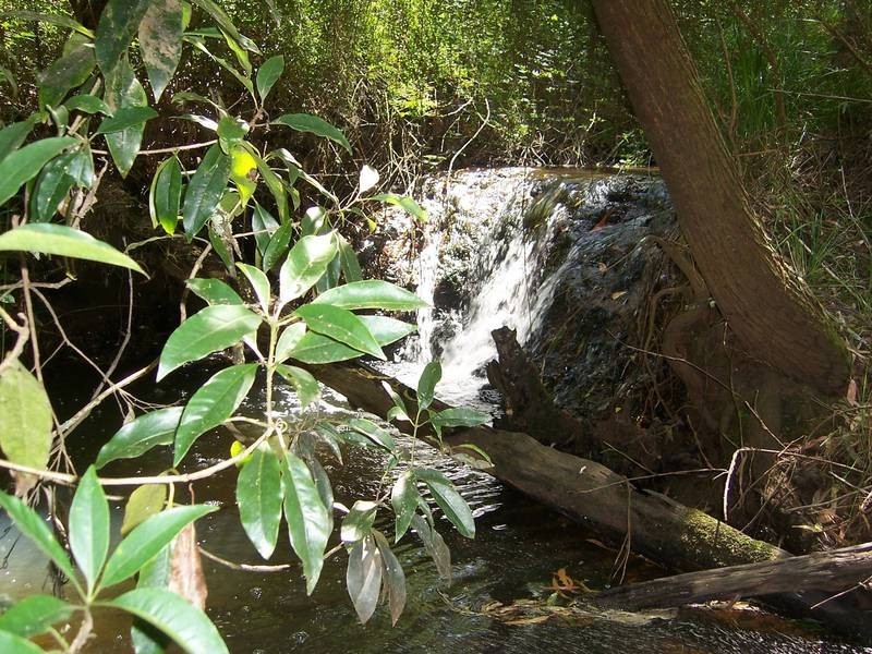 72 Shoreham Road, Red Hill VIC 3937