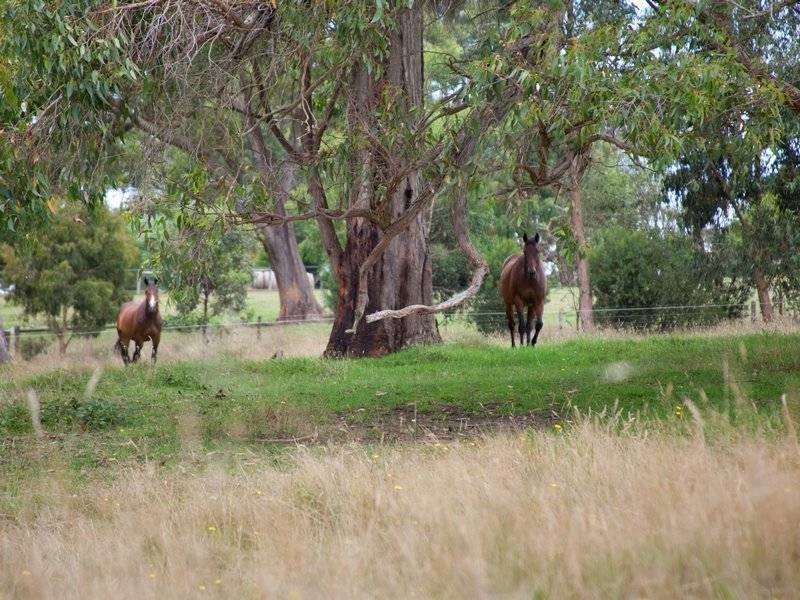 11 Pindara Road, Arthurs Seat VIC 3936