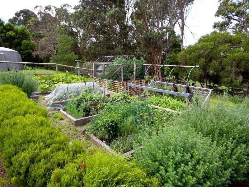 11 Pindara Road, Arthurs Seat VIC 3936