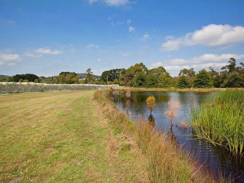 35 Harrisons Road, Dromana VIC 3936