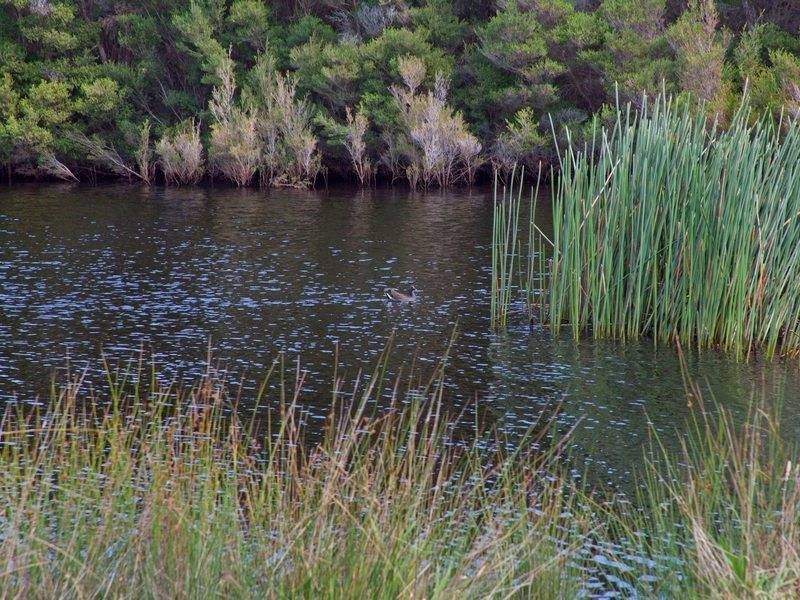 35 Harrisons Road, Dromana VIC 3936