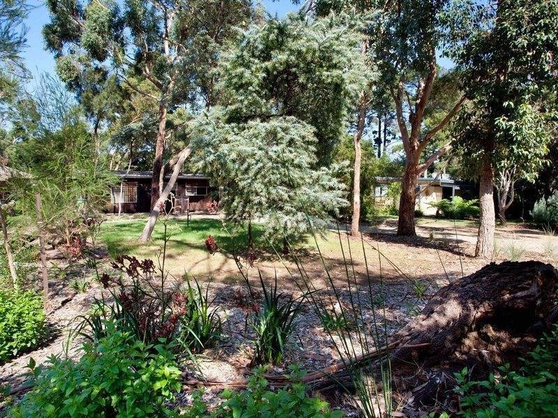 14 Steen Avenue, Shoreham VIC 3916