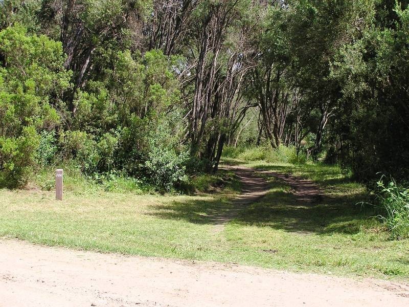 106 Maxwell Road, Fingal VIC 3939