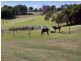 106 Maxwell Road, Fingal VIC 3939