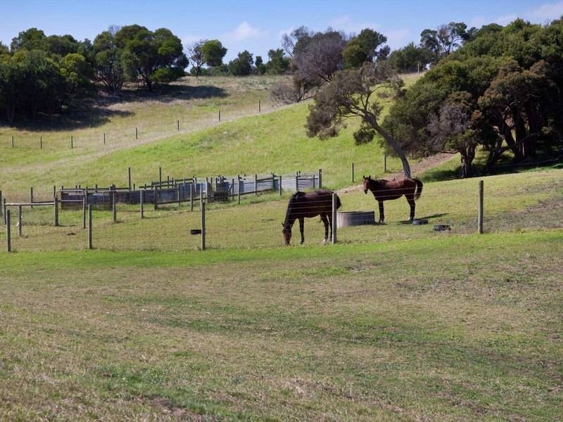 106 Maxwell Road, Fingal VIC 3939