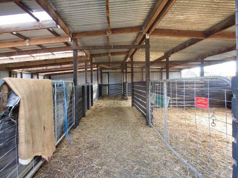 397 Racecourse Road, Mornington VIC 3931