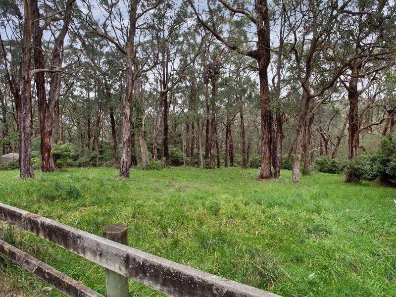 9 Pine Avenue, Red Hill VIC 3937