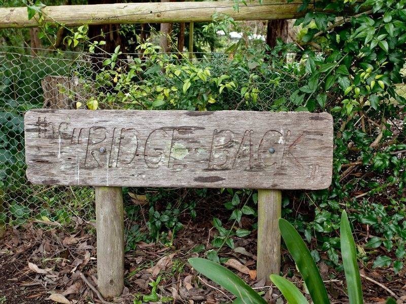 9 Pine Avenue, Red Hill VIC 3937