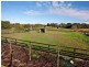 12 Hendersons Road, Bittern VIC 3918