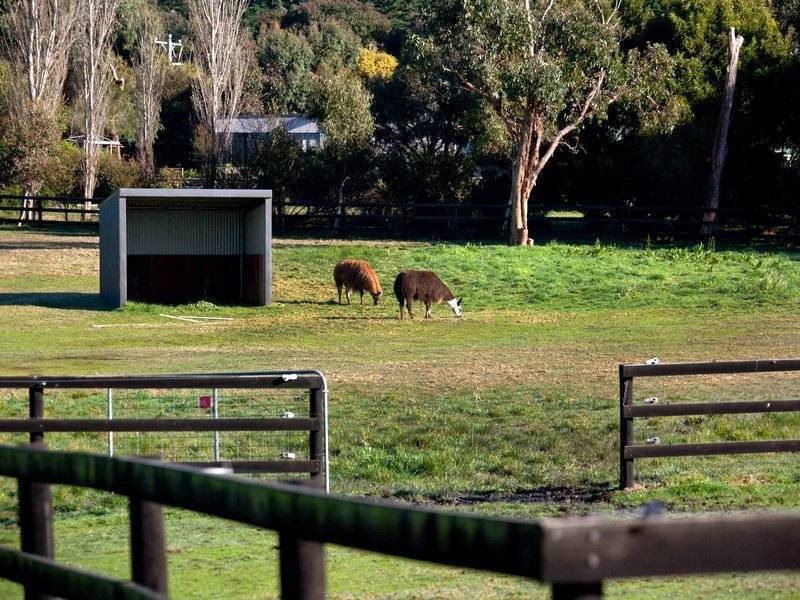 12 Hendersons Road, Bittern VIC 3918