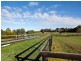 12 Hendersons Road, Bittern VIC 3918