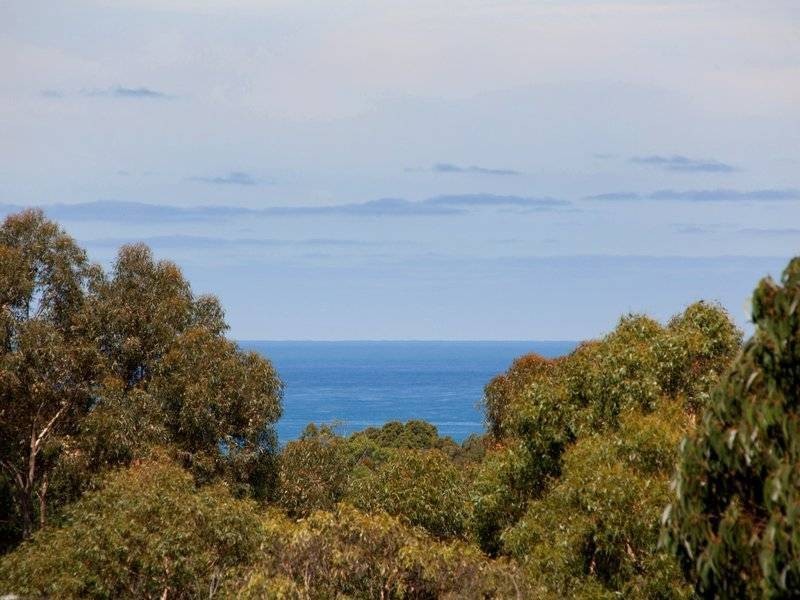 24 Pine Grove, Shoreham VIC 3916