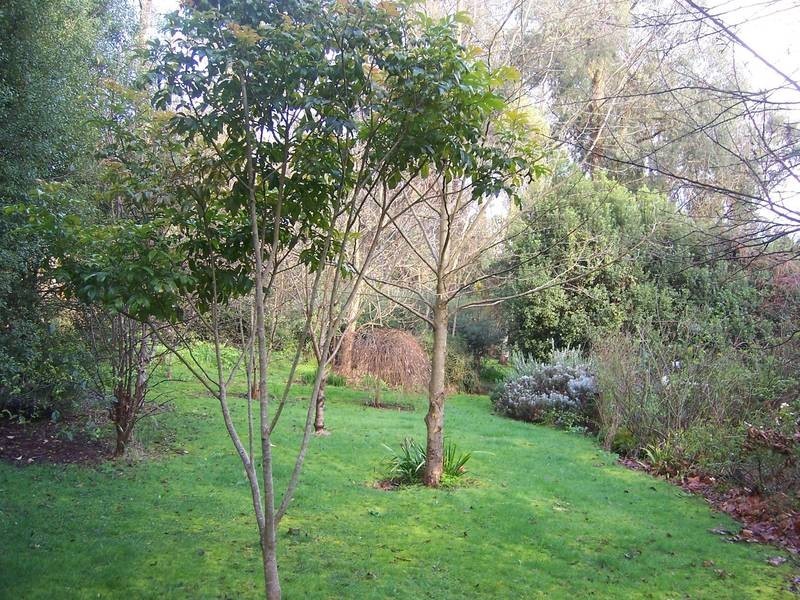 32 Beauford Road, Red Hill VIC 3937