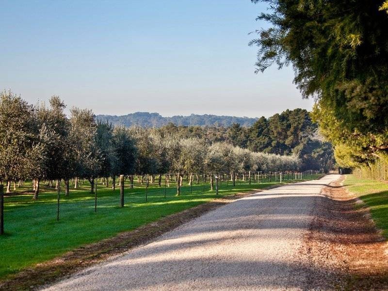 170 Balnarring Road, Merricks North VIC 3926