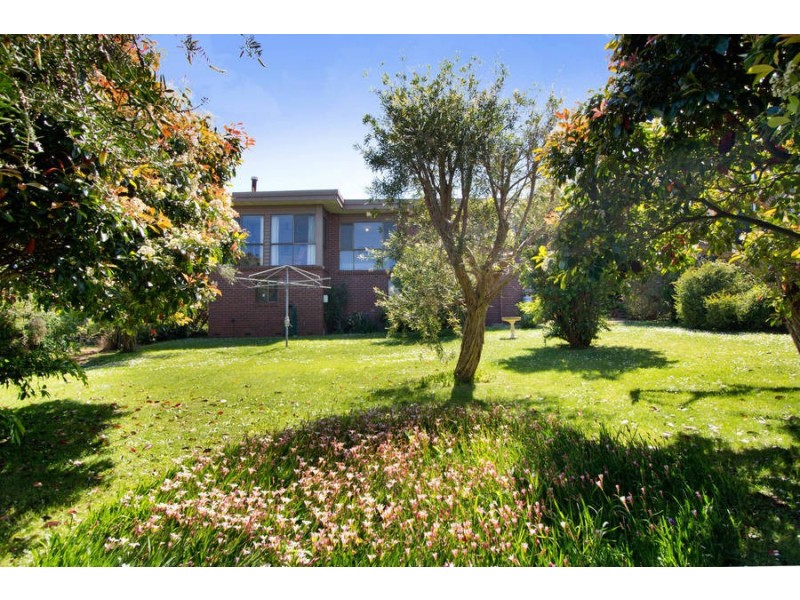 46 Myers Drive, Shoreham VIC 3916