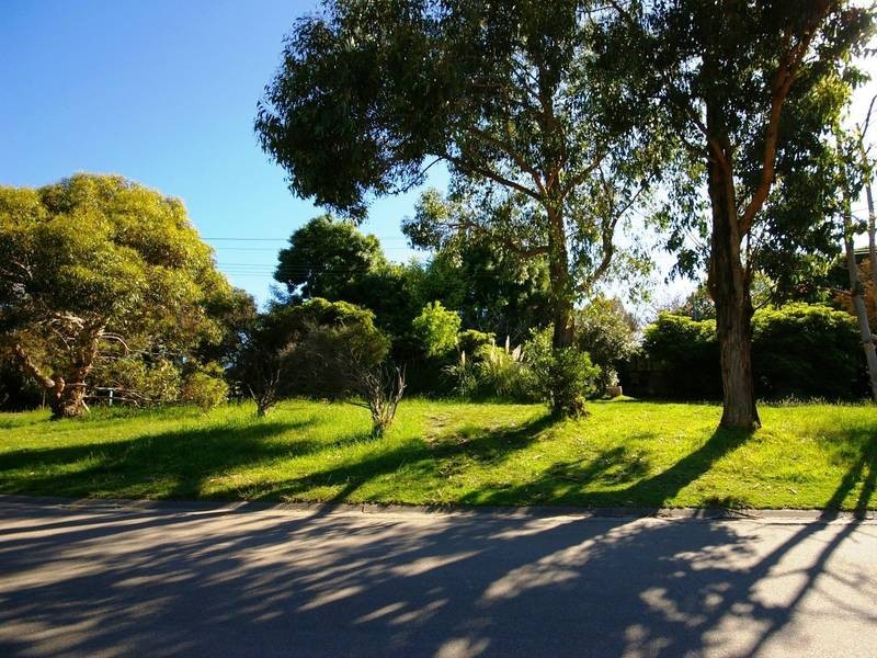 Cnr Nelson Street Pine Grove, Shoreham VIC 3916