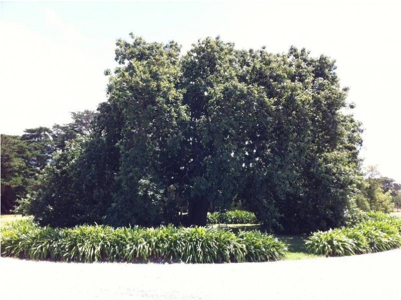 1 Merricks Beach Road, Merricks Beach VIC 3926