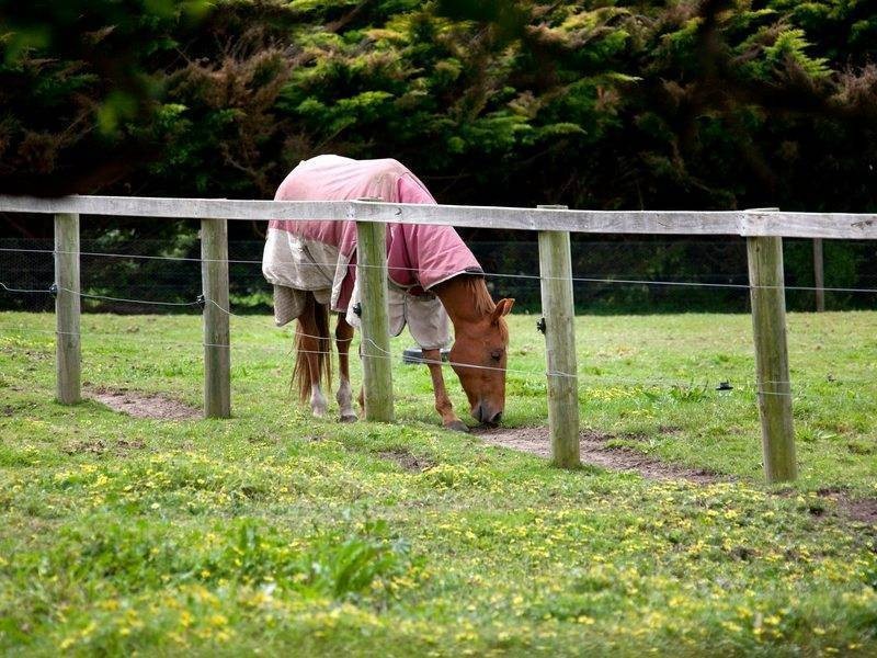 50 Boes Road, Tyabb VIC 3913