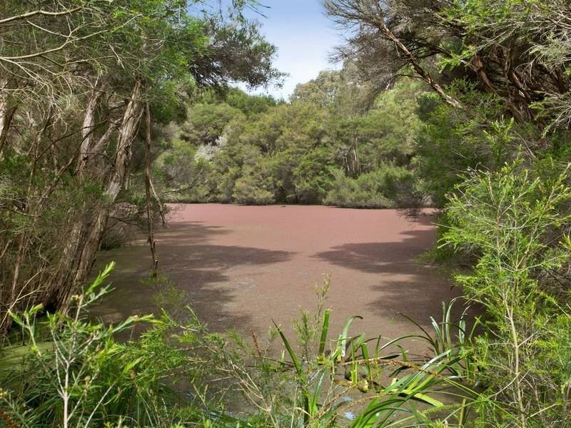 75 Harrisons Rd, Dromana VIC 3936