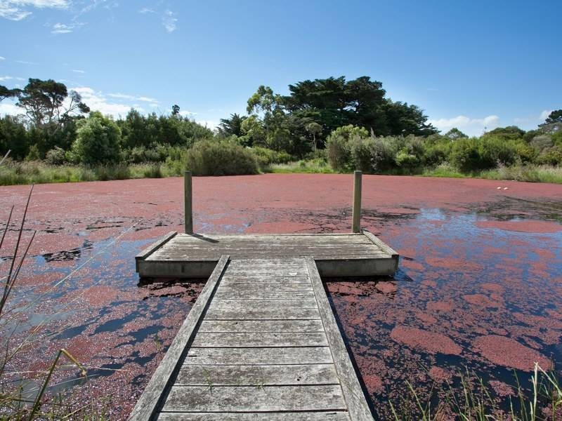 75 Harrisons Rd, Dromana VIC 3936