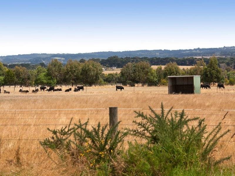 21 Kennedy Rd, Somers VIC 3927