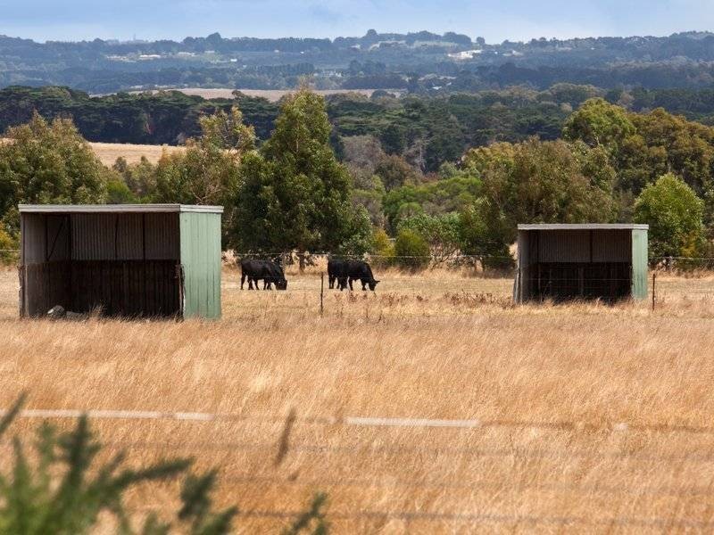 21 Kennedy Rd, Somers VIC 3927