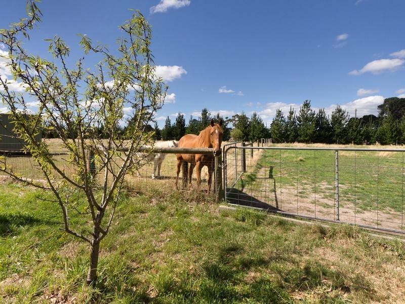 230 Myers Road, Balnarring VIC 3926