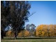215 Moyhu-Meadow Creek Road, Moyhu VIC 3732